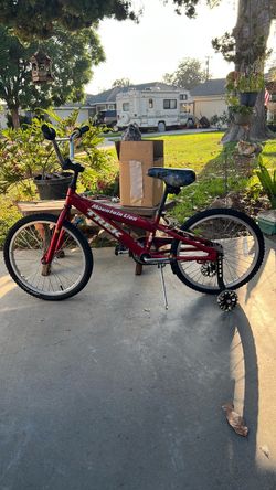 Mountain lion trek bike