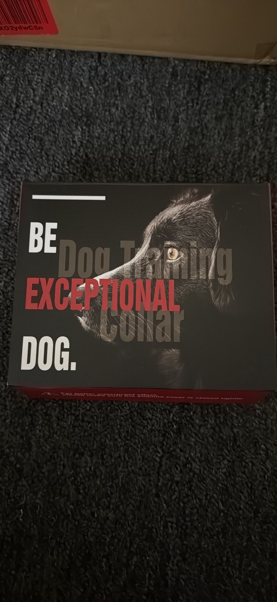 Dog Collars Training