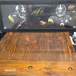 Michael Vick 14 X 38 Pittsburgh Steelers certified Auto picture