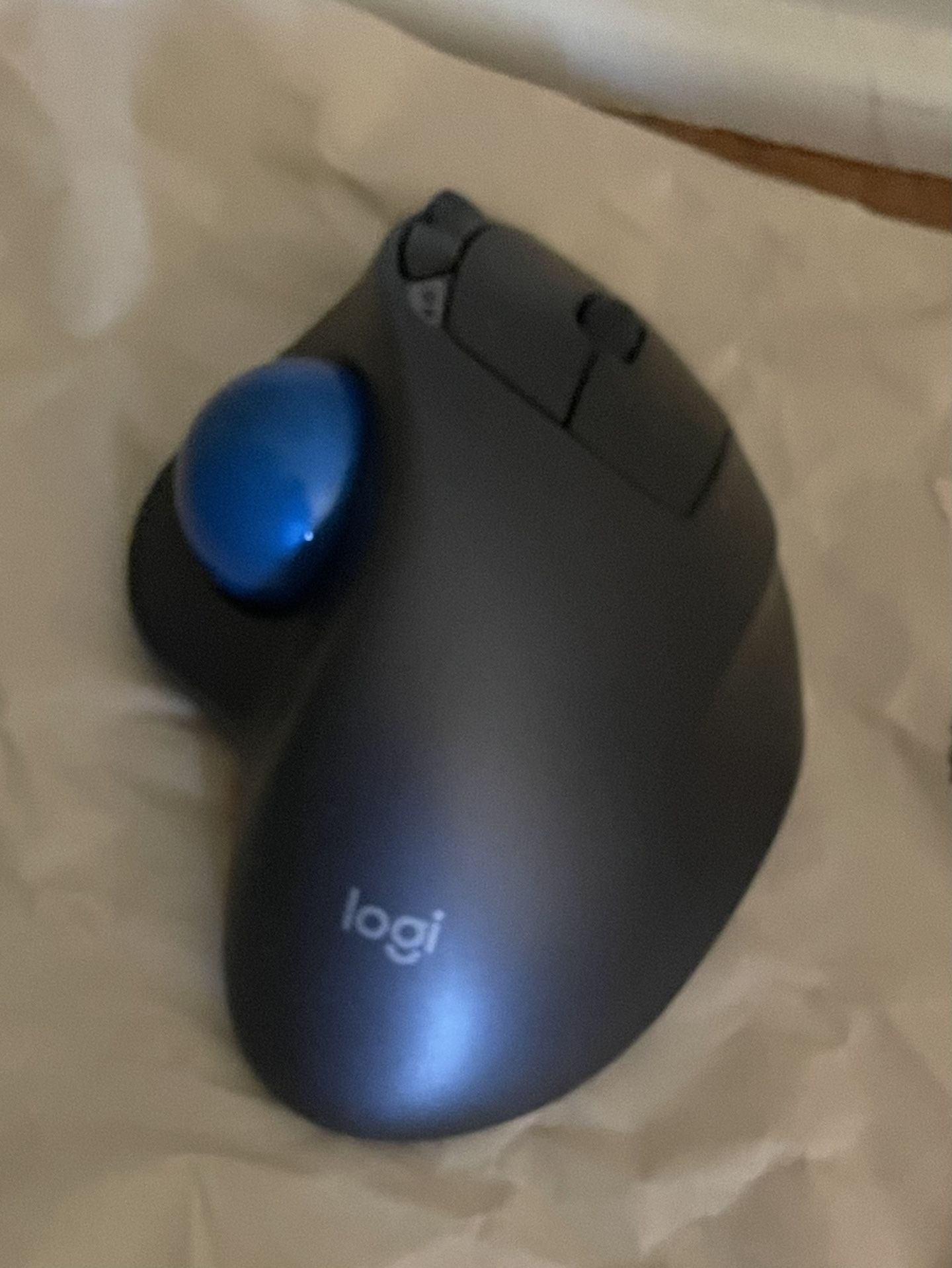 Mouse