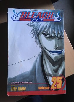 BLEACH Manga Volume 14