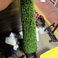 Fake Plant 