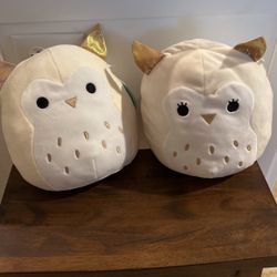 2 Plush Owl Squishmallow 