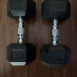 Two 35 Pound Weights