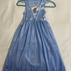 Frozen Elsa Dress/costume 