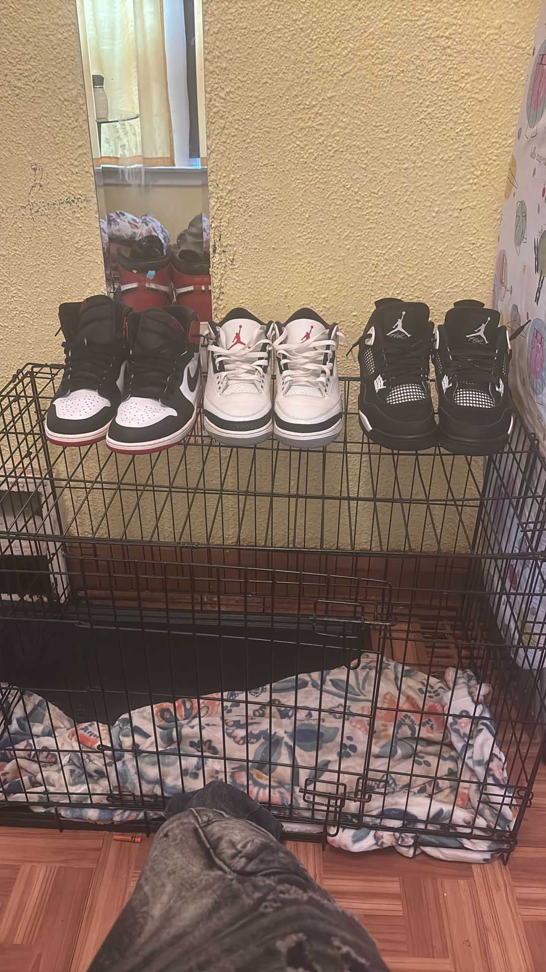 Jordans Size 12