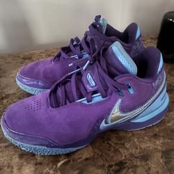Nike Zoom LeBron NXXT Gen AMPD Summit Lake Hornets