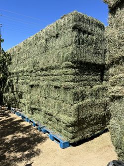 Hay/alfalfa