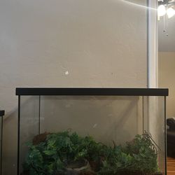 Reptile Tank
