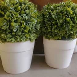 2 Mini Fake House Plants 