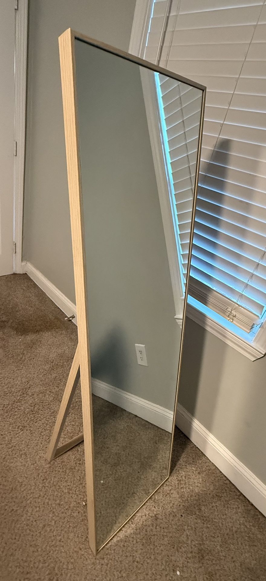 Full Body Mirror 16”x58”