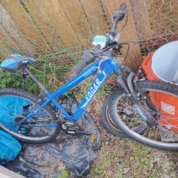 Edgar Martinez Mountain Bike 24-in 18 Speed