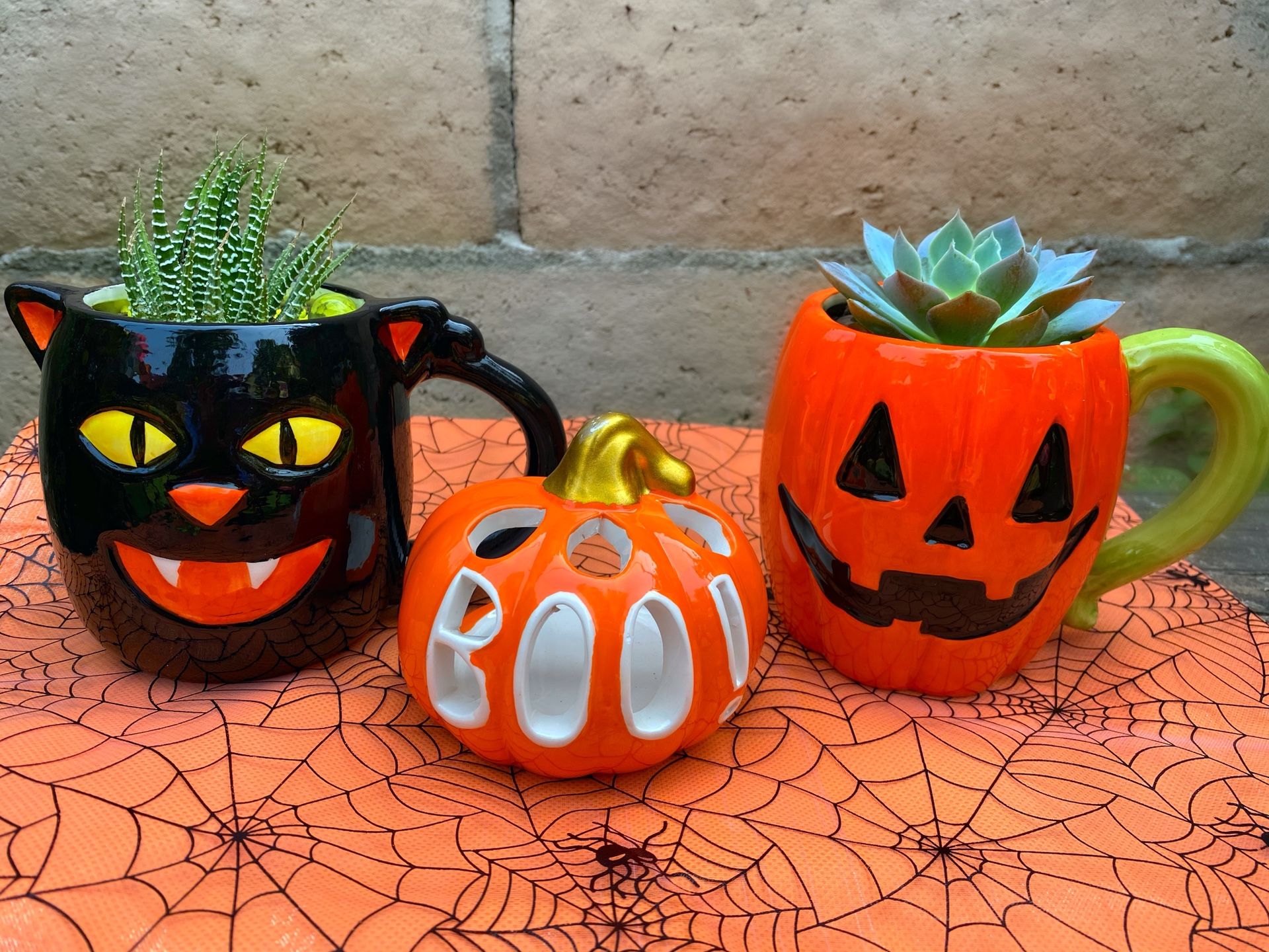 Halloween Planters with living plants