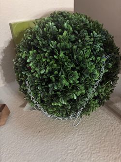 Title: 🌿 Beautiful Decorative Planters – 2