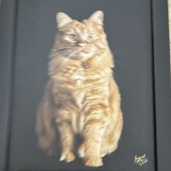 Hand Painted tabby cat Frame Art - By Artist Gero