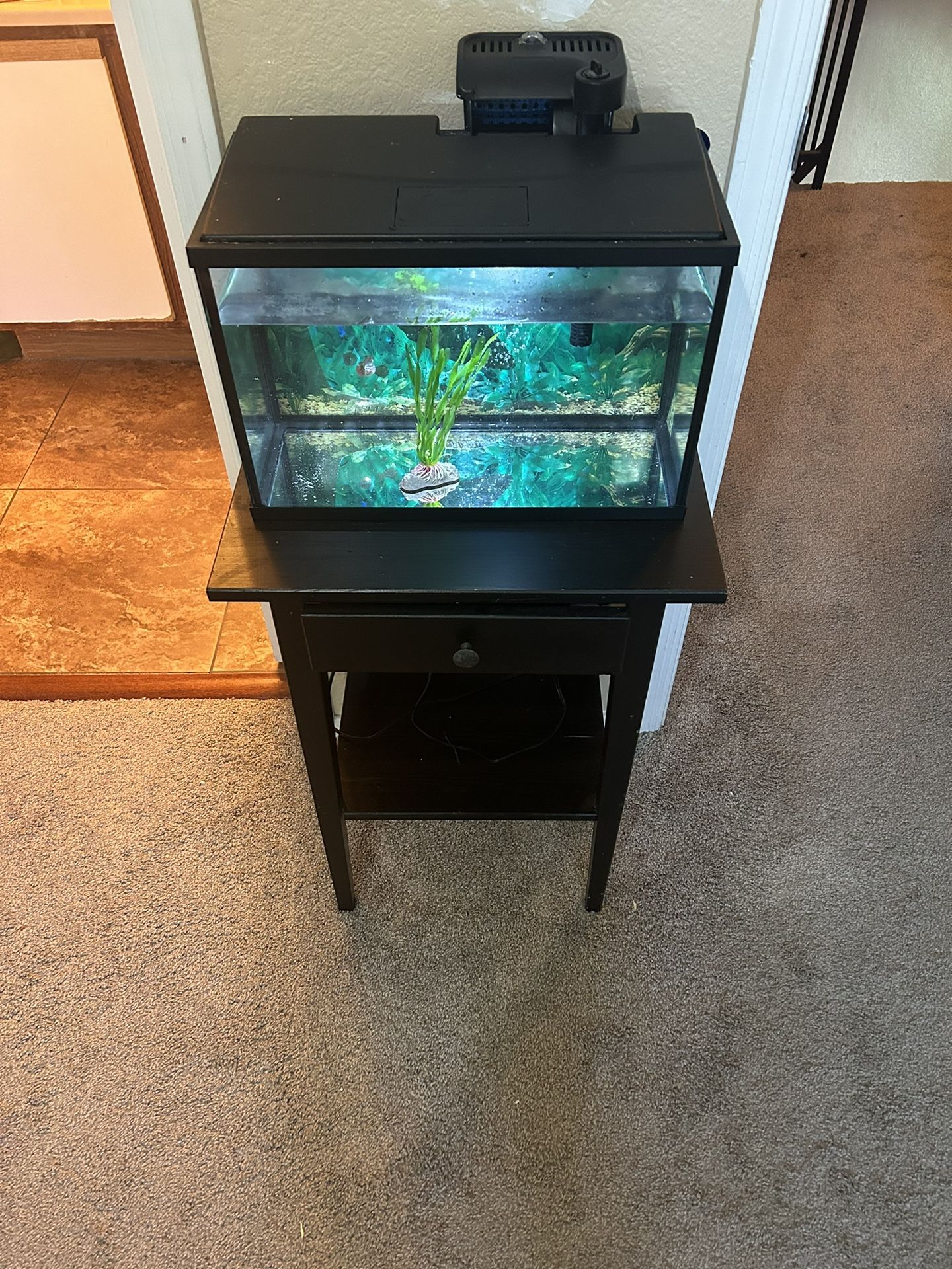 2 Fish Tanks With Stands Included for Sale in Mesa, AZ OfferUp