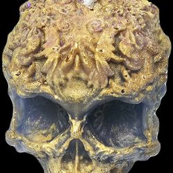 New Skull Candle