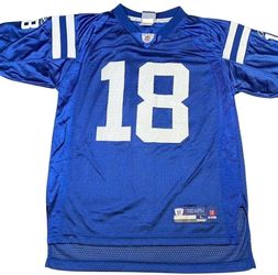 Peyton Manning #18 Indianapolis Colts Reebok Jersey Youth Large 14-16 Blue NFL