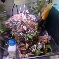 Handmade Mini Waterfall Tank
