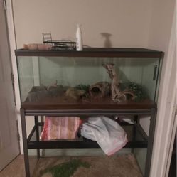 Fish/reptile Tank