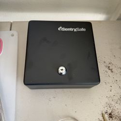 brand New Money Safe 