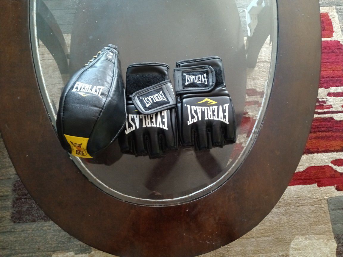 Everlast UFC Gloves + Speed Bag