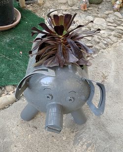 Pig 🐖 flower pot