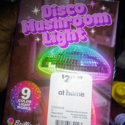 Rechargeable Disco Mushroom Lamp With Charge Cord