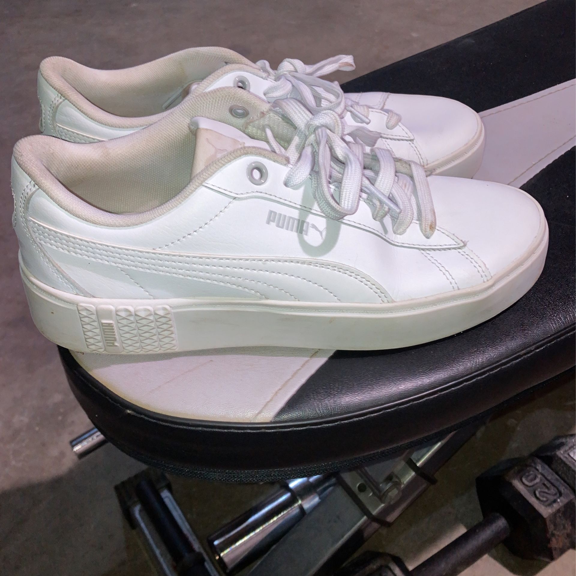 Puma