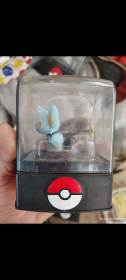Pokémon Shinx Figure in Display Case