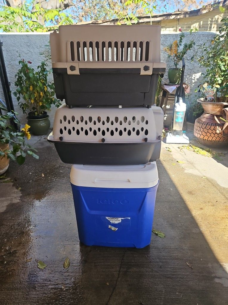 2 cat  cages jaulas y yelera 