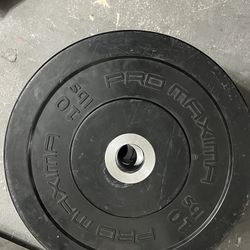 Promaxima 10 Lbs  Bumper Plate Weight Set 