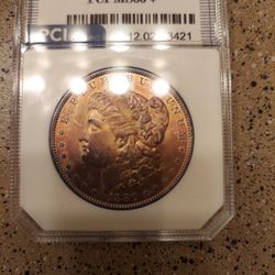 1880 Morgan Dollar