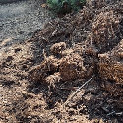 Garden Mulching For Planting And Ground Cover And 