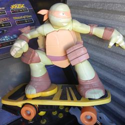 Ninja Turtle On Skateboard 