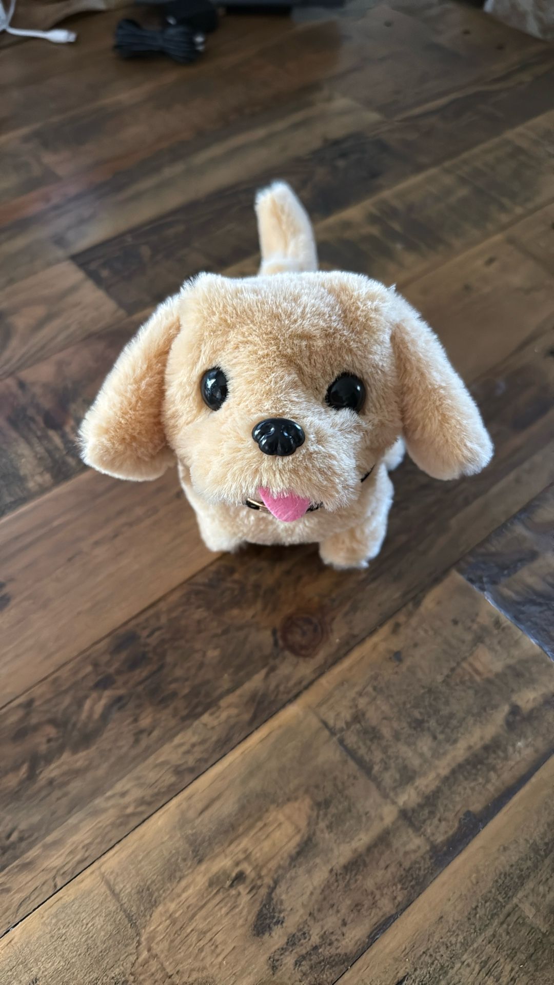 Cute Little Barking Puppy