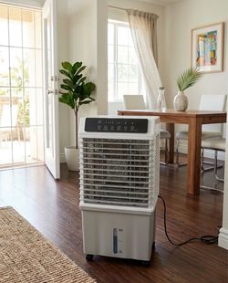 Portable air cooler