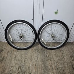 GT Mohawk Wheels/Rigida Rims (20 x 1.75)