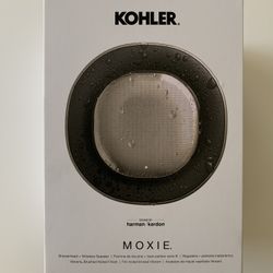 Wireless Speaker Showerhead