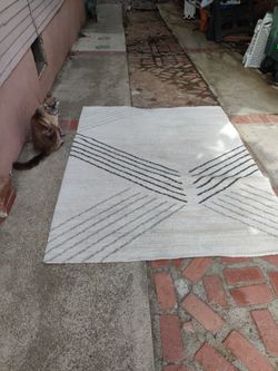 Minimalist Rug 5x7