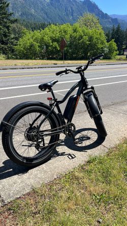 RAD POWER ELECTRIC BIKE FAT TIRES