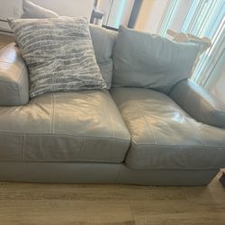 Two Leather Couches