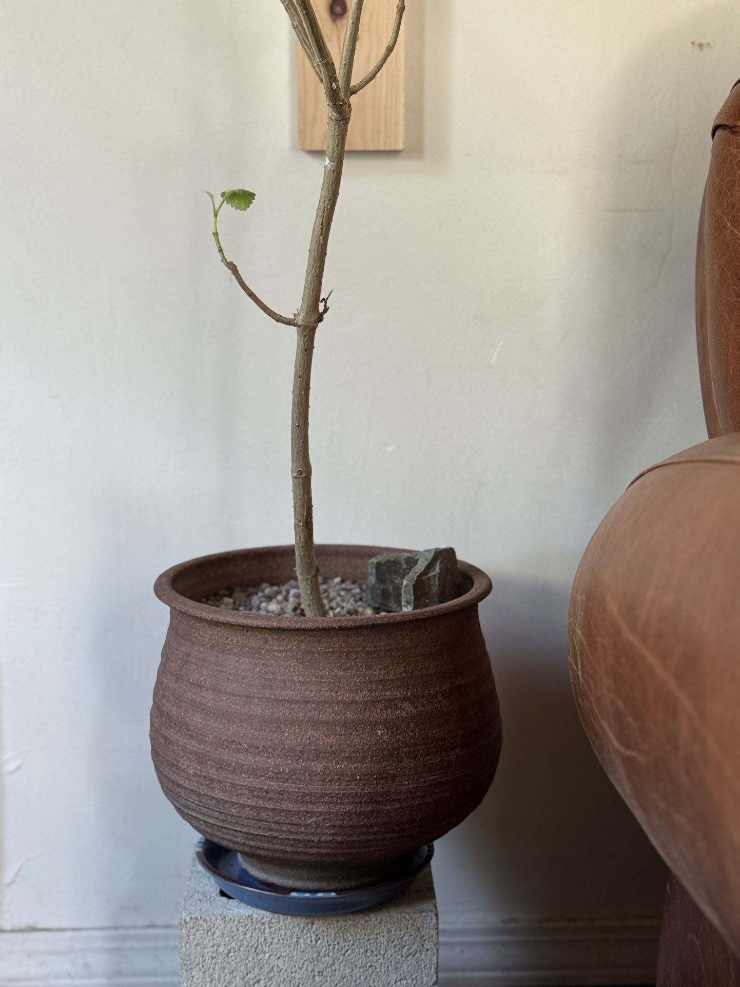 Mid Century Stoneware Planter.