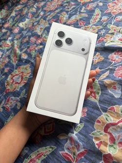 17 pro max
