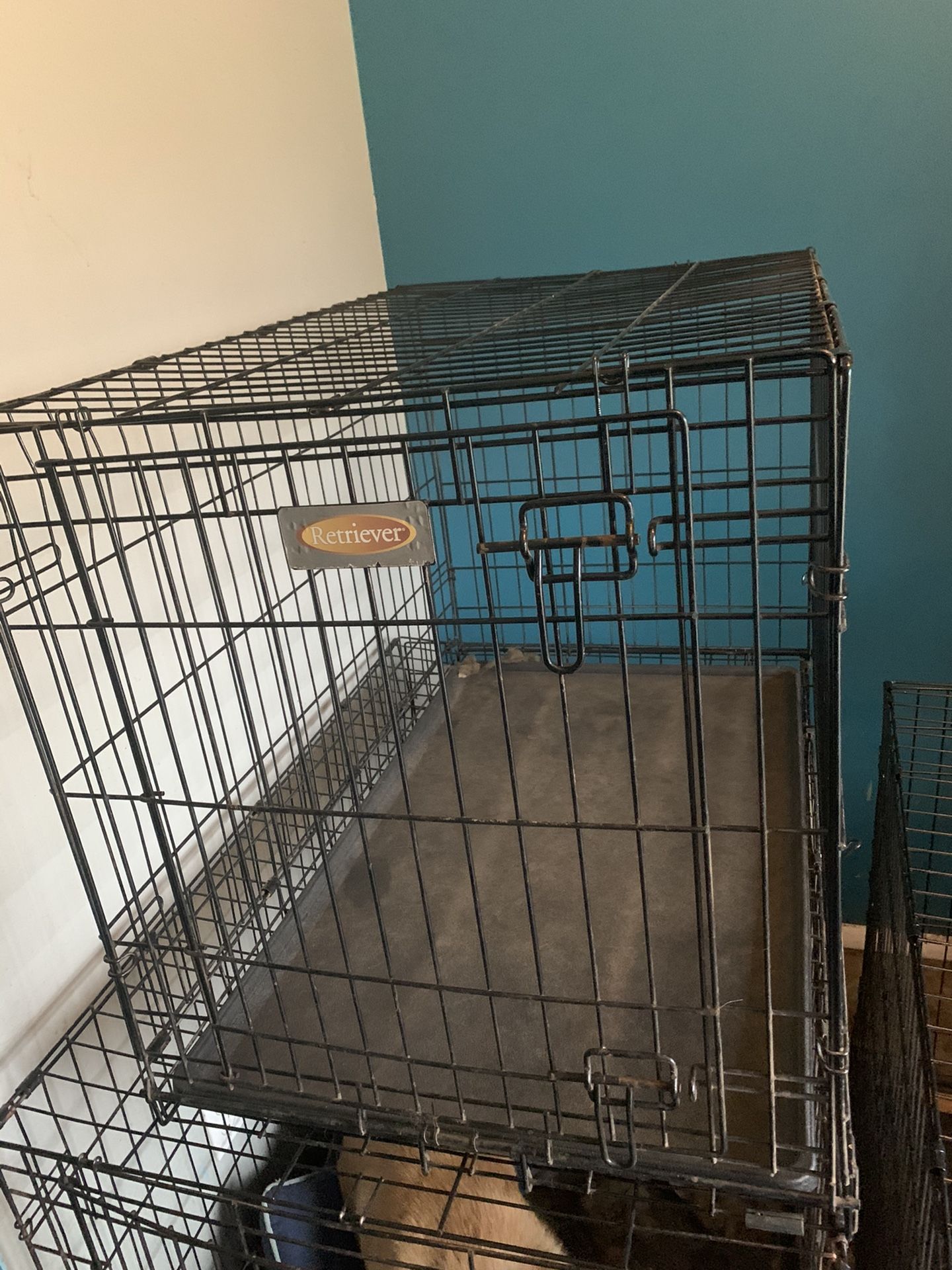 Large dog kennel