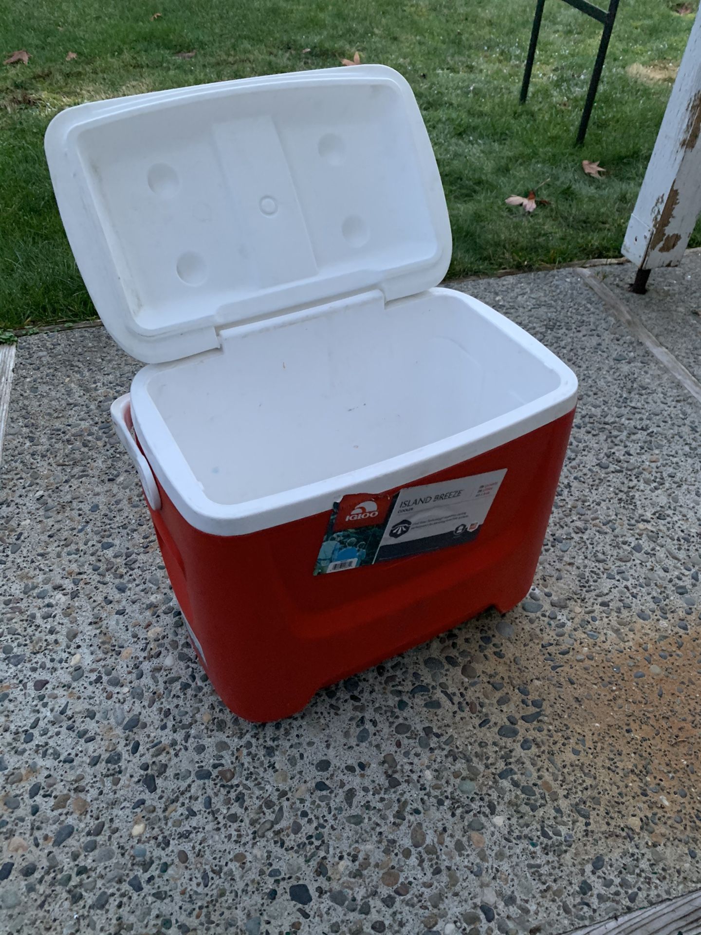 Igloo Cooler