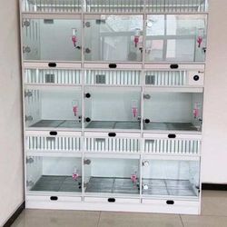 dogs, puppies cage