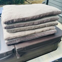 Dog Beds