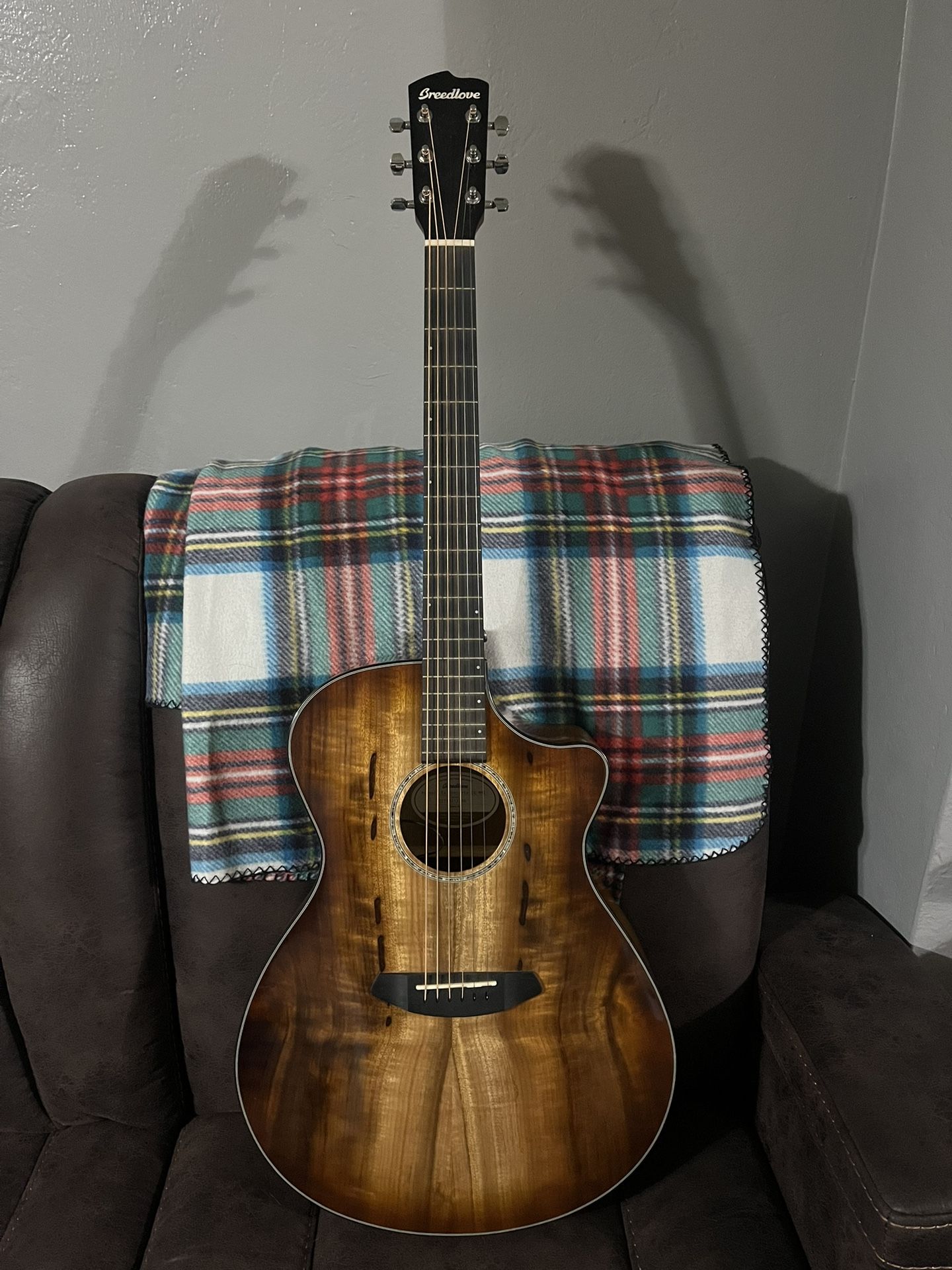 Breedlove acoustic Electric guitar