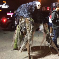 Custom Halloween Costume